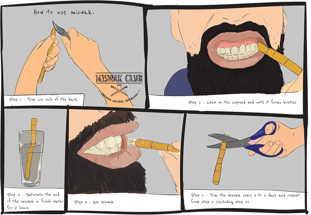 miswak origin